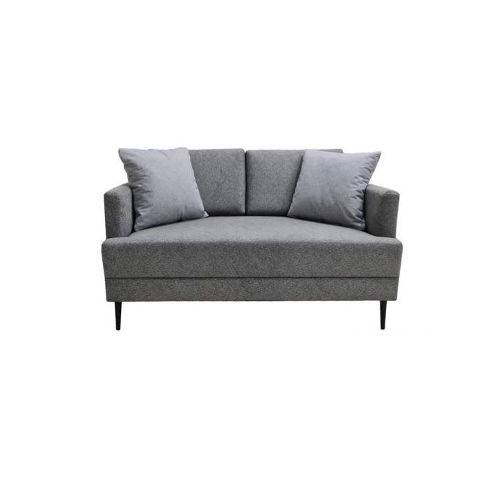 A modern grey couch with two accent pillows, offering a chic and comfortable seating option.