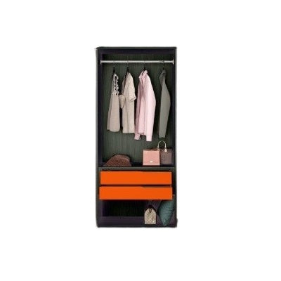 Wardrobe with two doors and two drawers, providing practical storage solutions in a modern design.