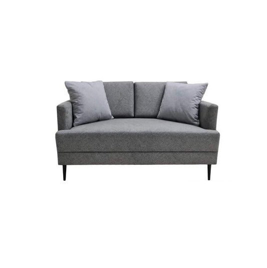 A modern grey couch with two accent pillows, offering a chic and comfortable seating option.