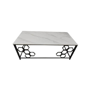 Nasturtium Coffee Table with Marble Top & Steel Base