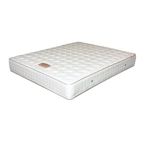 Uratex Beauty Nights 6-Inch & 8-Inch Spring Mattress for Single to Queen Size Beds